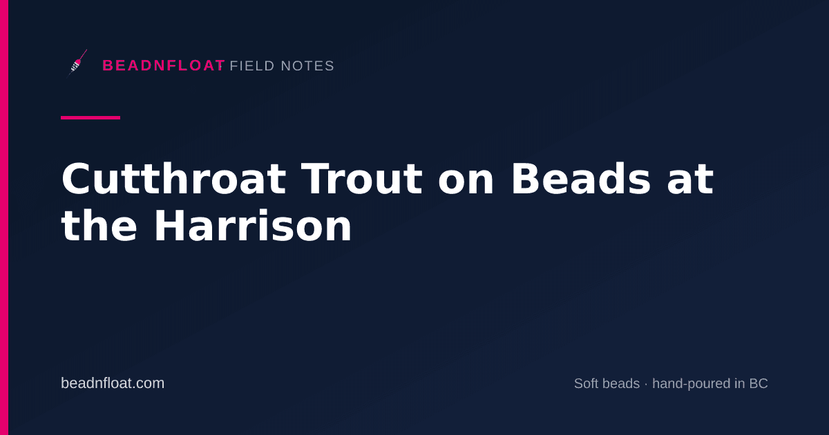 Cutthroat Trout on Beads at the Harrison