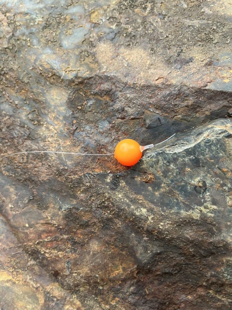 Our Top Tips for Fast Current Bead Fishing Today