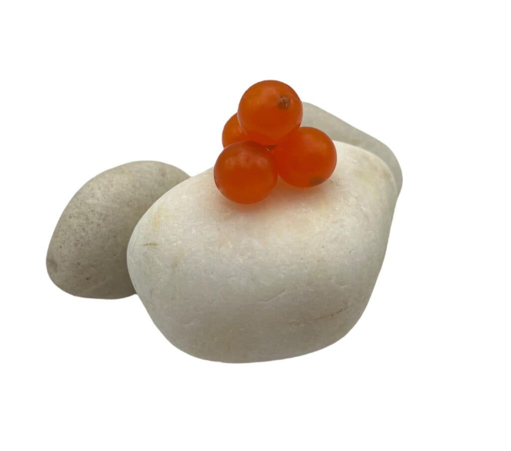 Top Soft Bead Rigging Tips for Anglers Today