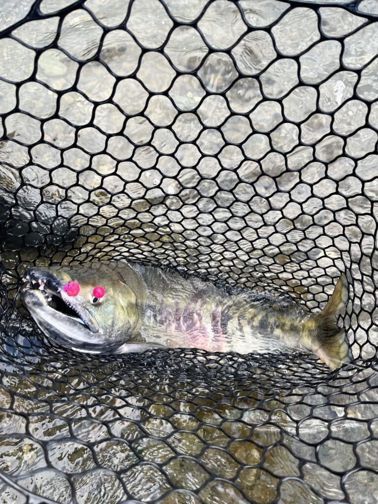 The Best Guide to Fishing in Streams in British Columbia