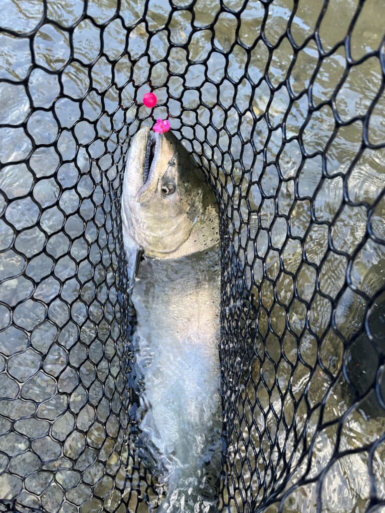 Navigating the Fraser River Tides: The Perfect Times for Fishing