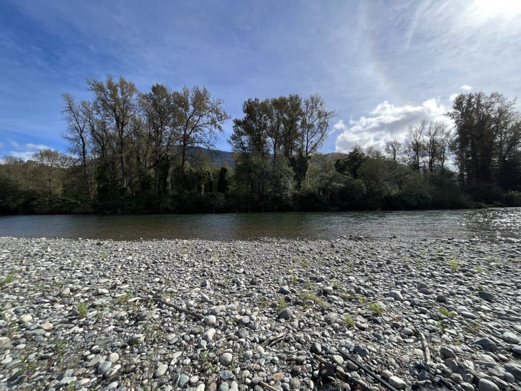 Discover the Best Salmon Fishing Spots in Canada