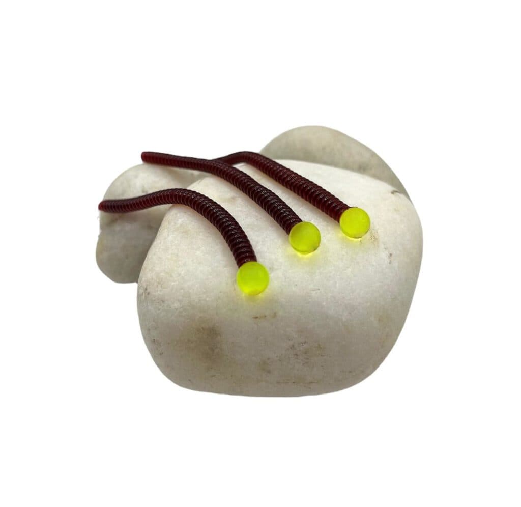 Our Top Soft Worm Tips for Anglers in Canada