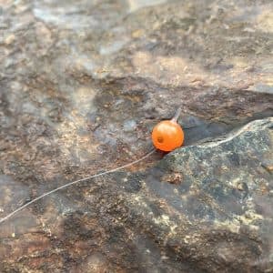 Gourd Embryo Soft Beads — photo 5