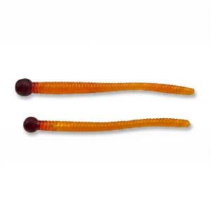 Gourd Worms — photo 2
