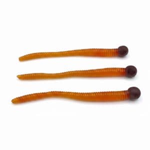 Gourd Worms — photo 4
