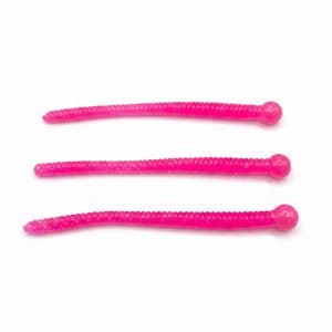 Hot Pink Worms — photo 3