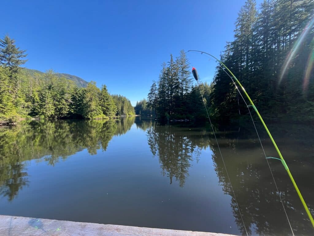 Rice Lake: The Complete North Vancouver Rainbow Trout Guide