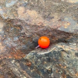 Jelly Apple Embryo Soft Beads — photo 5