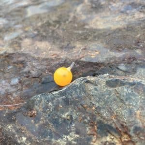 Orange Blaze Embryo Soft Beads — photo 5