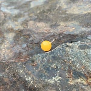 Orange Blaze Soft Beads — photo 5