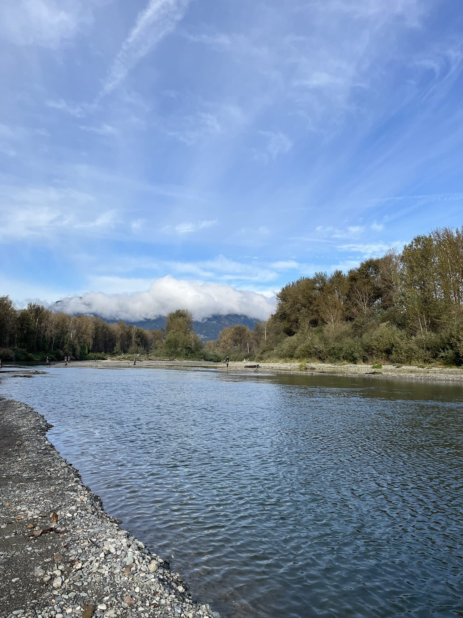 The Vedder River: Canada's Premier Fishing Spot