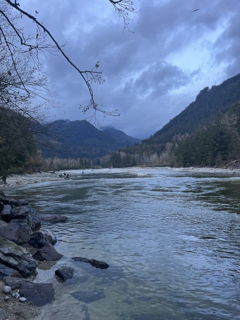 Norrish Creek Salmon Fishing: Complete Guide to Coho, Chinook & Fall Runs in BC's Hidden Gem