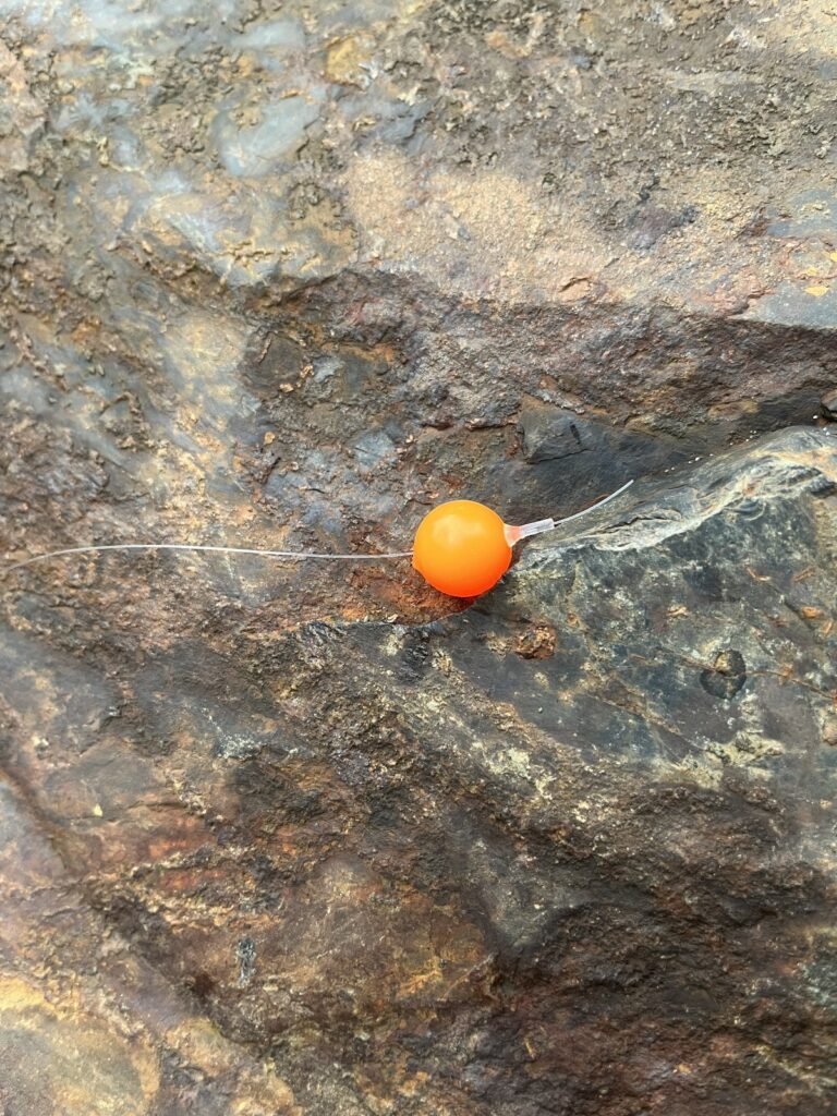 50/50 BC Tangerine soft bead on rock