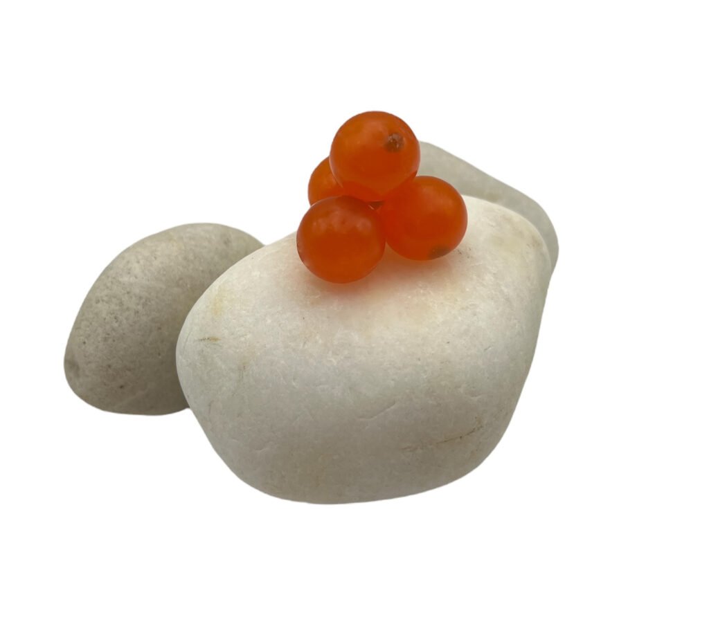 Gourd Embryo Soft Beads on white rock