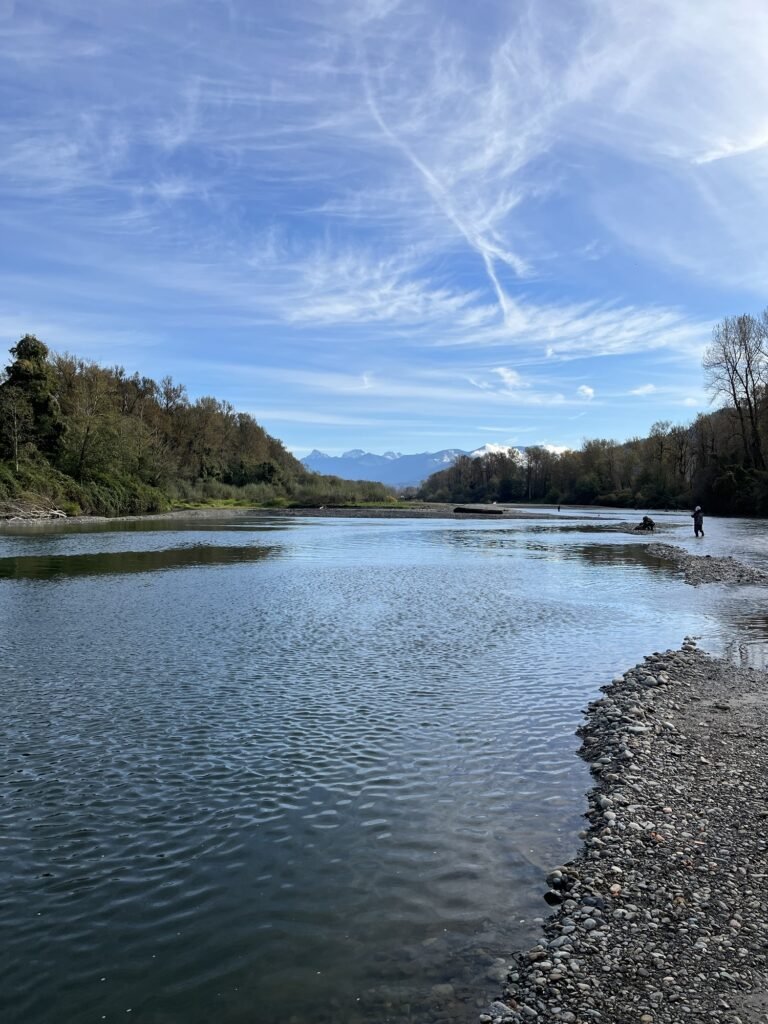 Vedder River fishing