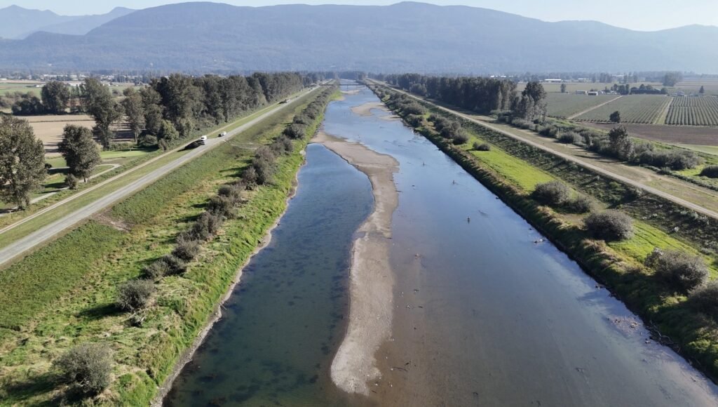 pink salmon fishing regulations Vedder River Canal