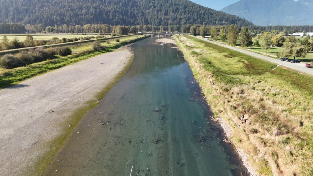 pink salmon fishing gear Vedder River Canal