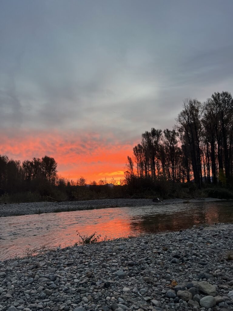 Norrish Creek sunrise